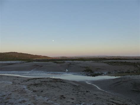 Quicksand Pool 的图像结果