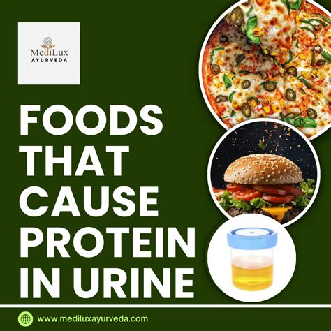 8 Foods That Cause Protein in Urine - Unlocking Wellness Naturally
