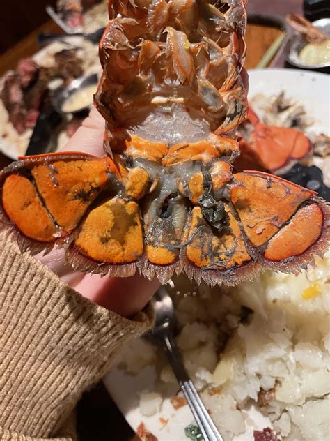 Spoiled lobster?? Also 35 weeks pregnant : r/foodsafety