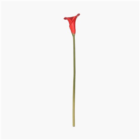 Buy Single Calla Lily Artificial Flower Stem from Home Centre at just ...
