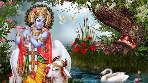 Krishna God Hinduism