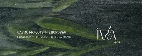 Iva Spa | Спа-центр в Барнауле | Лучший спа в городе со стильными ...