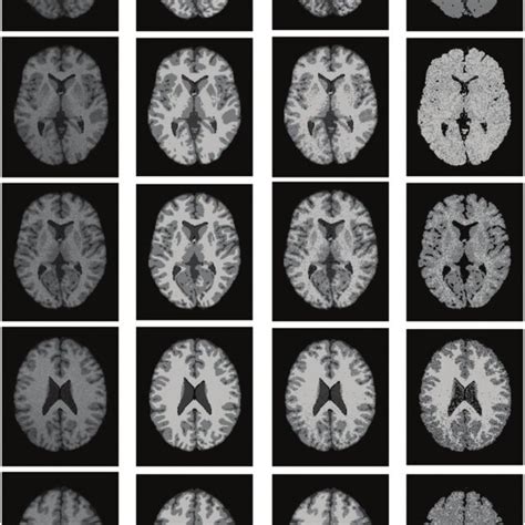Image result for Genetic Algorithm Implementation