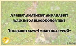 Image result for Rabbit Jokes for Kids