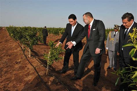 Le fellah “Amazigh” défenseur du trône – لوبوكلاج