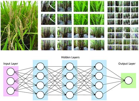 Basic Working of Deep Learning Architecture 的图像结果