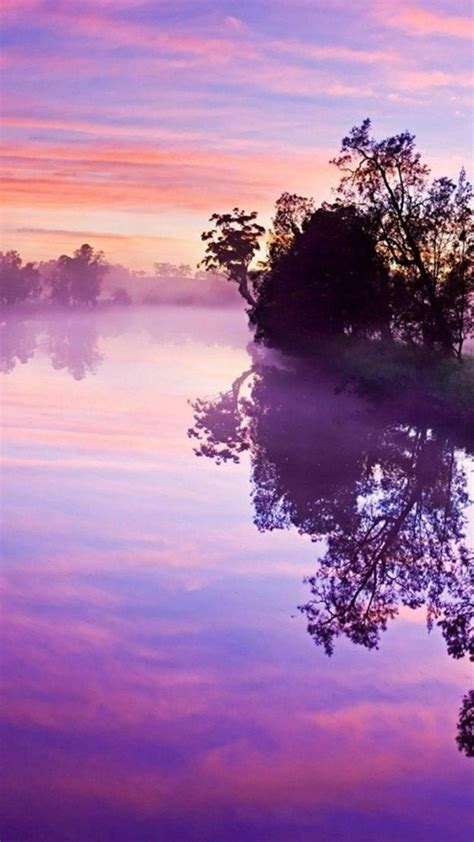 Black and Purple Nature 的图像结果