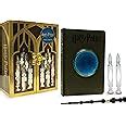 Buy HARRY POTTER PENSIEVE MEMORY SET Book Online at Low Prices in India ...