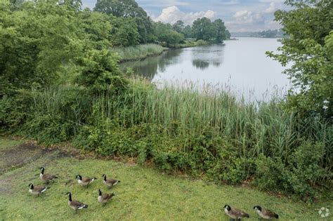 About Poplar Hall | Schools, Demographics, Things to Do - Homes.com