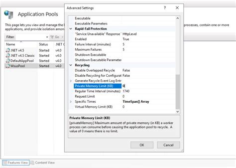 HTTP Error WSUS Server 的图像结果