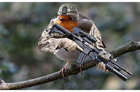 Arms on Bird : r/birdswitharms
