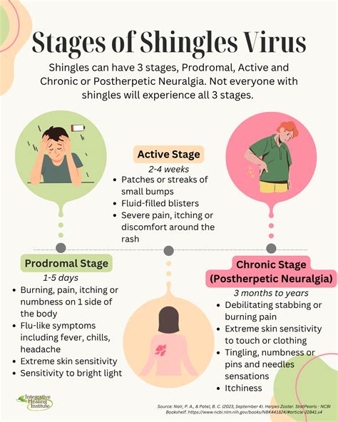 Phases Of Shingles