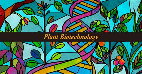 Plant Science and Biotechnology 的图像结果
