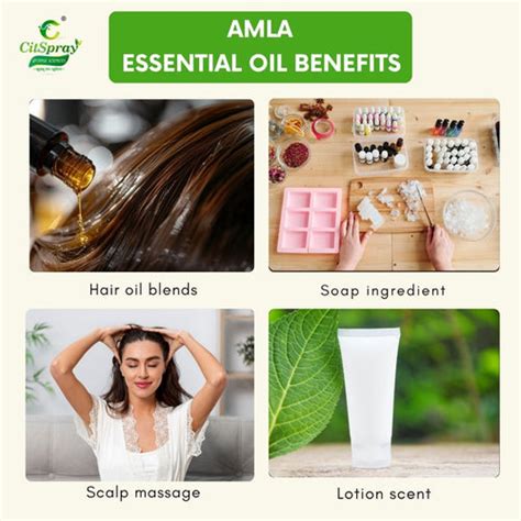 CitSpray aroma sciences - खुशबू संग खुशियां – Mangalam Agro