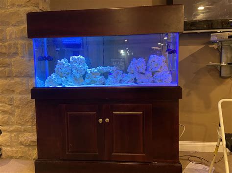 55 Gallon Saltwater Tank Setup Build Thread 55 Gallon Reef Tank