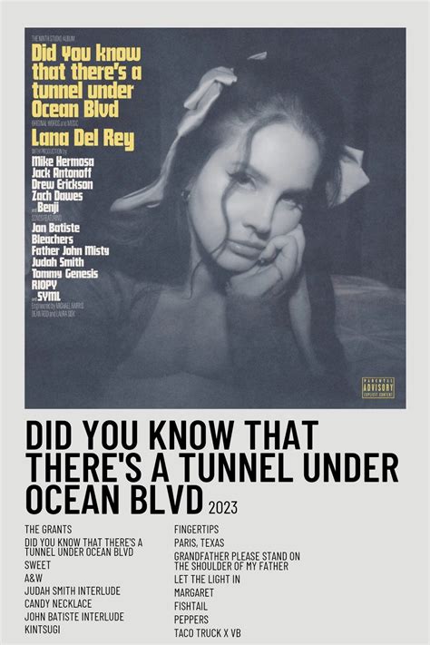 Did you know that there's a tunnel under Ocean Blvd • Lana Del Rey ...
