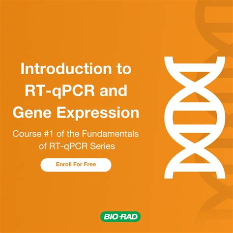Image result for Bio-Rad qPCR Instrument Tutorial