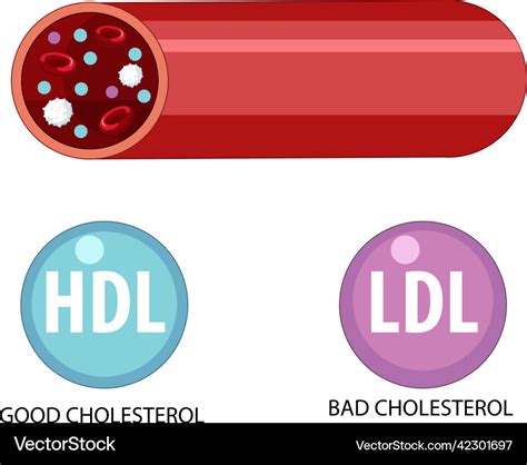 Image result for HDL Components Code