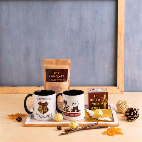 Harry Potter Muggle Gift Combo