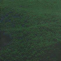 Hoop Whoop: Hubbub: Amazon.in: Music}