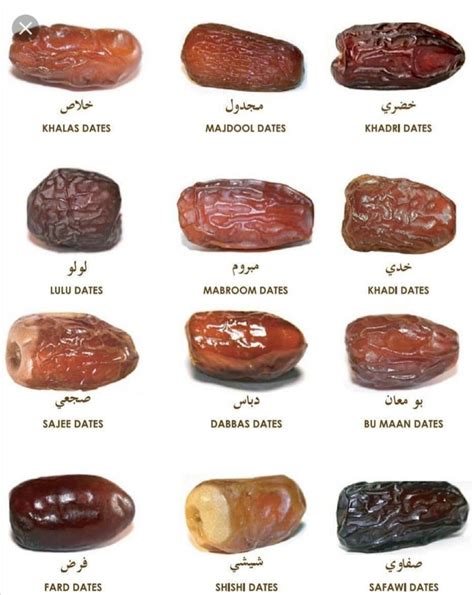 Types of dates my mom allowed me to have! : r/coolguides