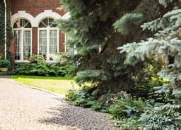 Estate Agents in Virginia Water | Lettings & Sales Surrey | Buckinghams