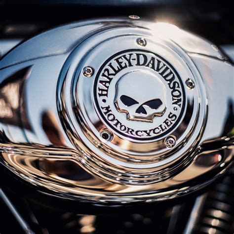 Shop Now: Get Your Official Laidlaw's Harley-Davidson Gear | Laidlaw's ...