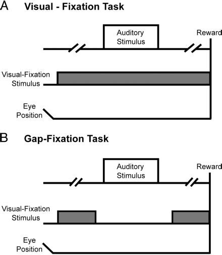 Image result for Role Fixation