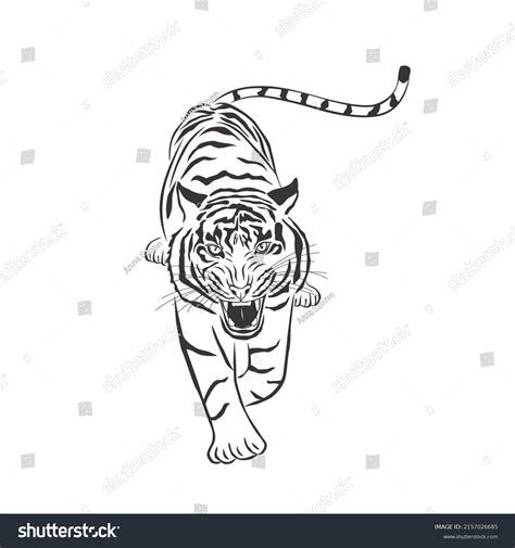 Tiger Vector 的图像结果