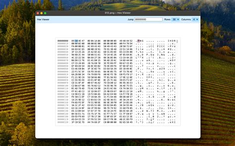 Image result for Hexdumpon ISO File