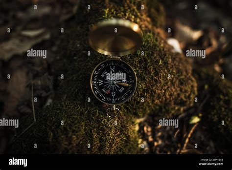 Image result for Small Basic Compass