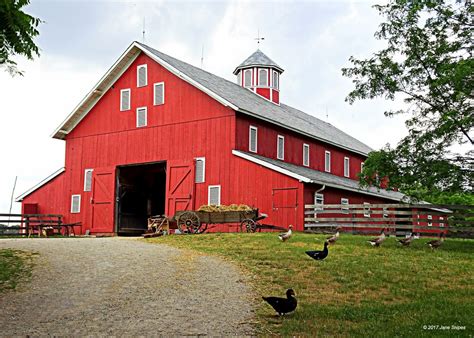 Why Are Barns Painted Red?
