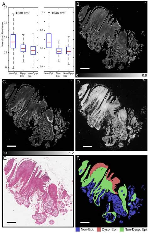 JPM | March 2024 - Browse Articles