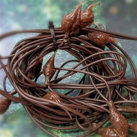 Image result for LED String Lights Indoor