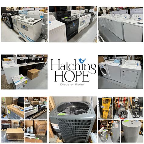 Auction By Pearce | Global Asset Solutions