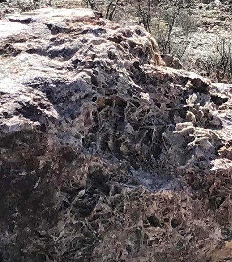 Gallery - Sierra County Rock & Gem Society