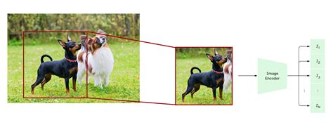 Разбор SAM (Segment Anything Model) — Teletype