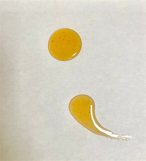 Raw & Unfiltered Wildflower Honey - 1 GALLON of HONEY - 12 lb Jug - BULK HONEY | Arvoli Honey ...