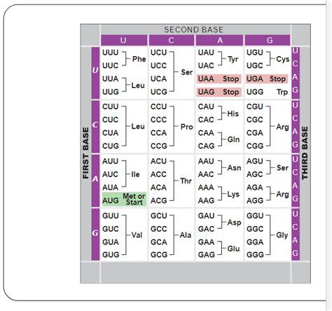 Codon 的图像结果