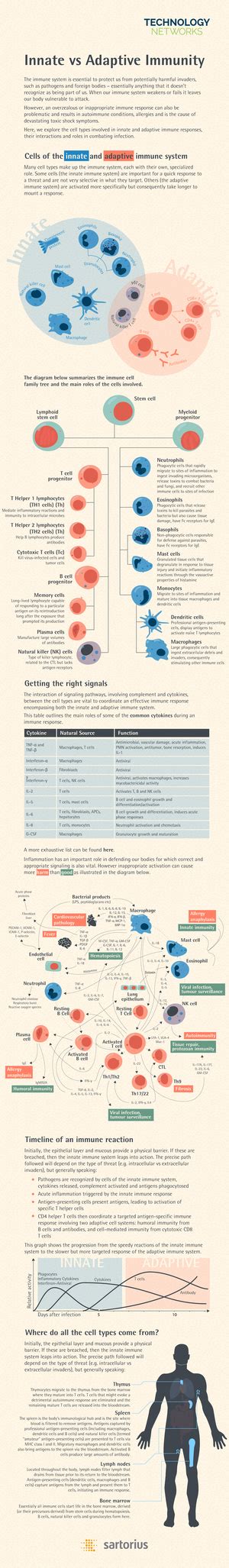 Lecture 3 - Scoring MatricesScoring Matrices Scoring matricesScoring ...