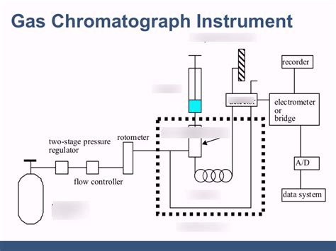 Gas Chromatography Diagram | Quizlet