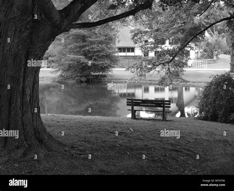 Ringwood state park, Ringwood, NJ in black and white Stock Photo - Alamy