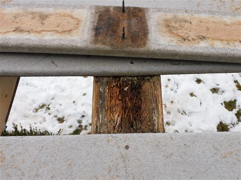 Wood Rot Treatment: How to Identify and Treat It - Trex Protect UK