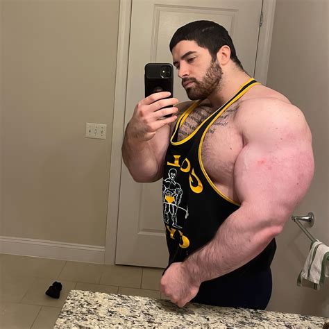 Image result for Dima Muscle Model