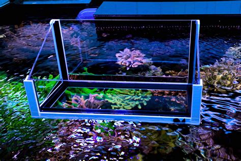 ReefMaker Reef View 360 equipment [buy and inform] at Whitecorals