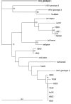 Hepatitis E Virus Genotype 3 in Shellfish, United Kingdom