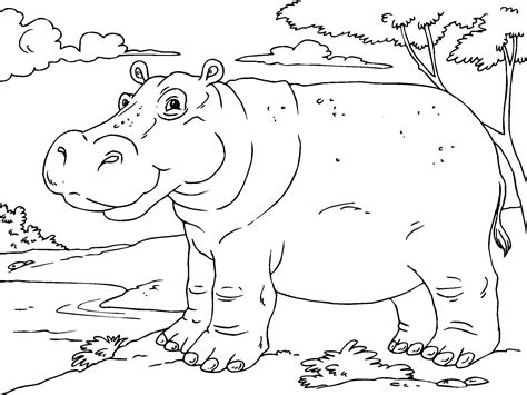 Hippo Coloring Sheet