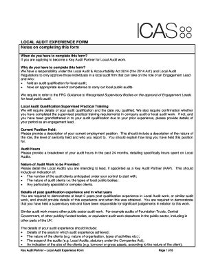 Fillable Online Local Audit Experience Form Print version PDF - ICAS ...
