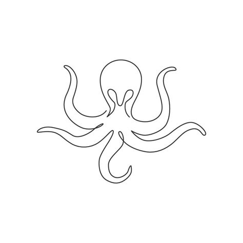 Octopus Software without Box 的图像结果
