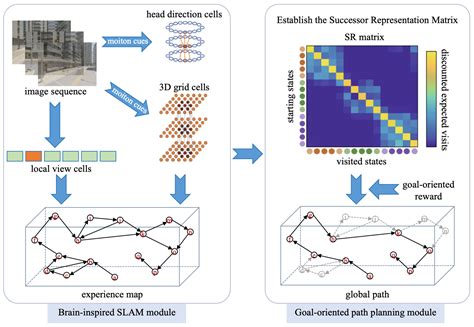 A Bionic Goal-Oriented Path Planning Method Based on an Experience Map